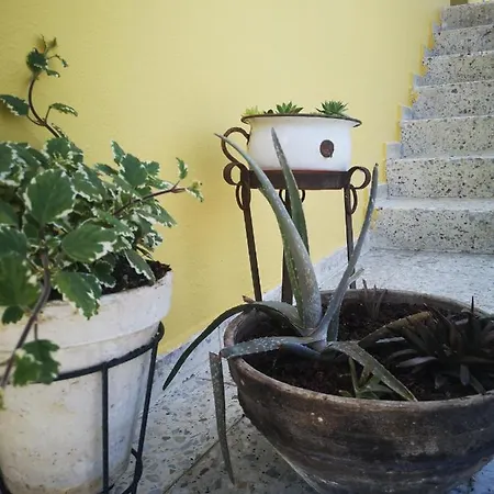 A Maquia Do Pousavedra 度假居 *