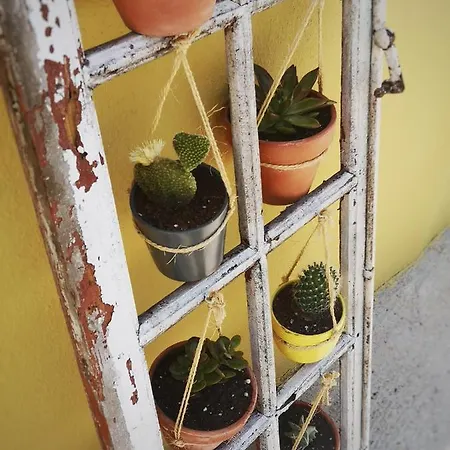 度假居 A Maquia Do Pousavedra *