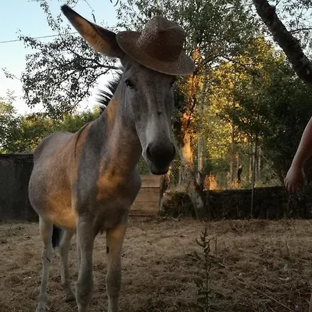 度假居 A Maquia Do Pousavedra *