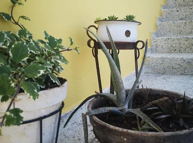 A Maquia Do Pousavedra Prázdninový dům *