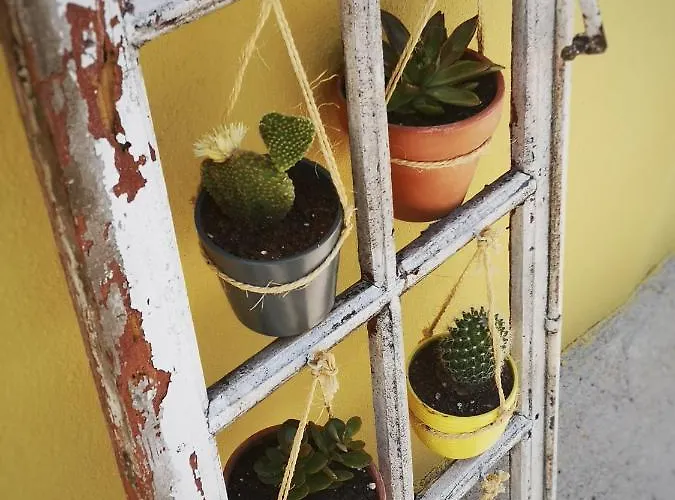 Prázdninový dům A Maquia Do Pousavedra *