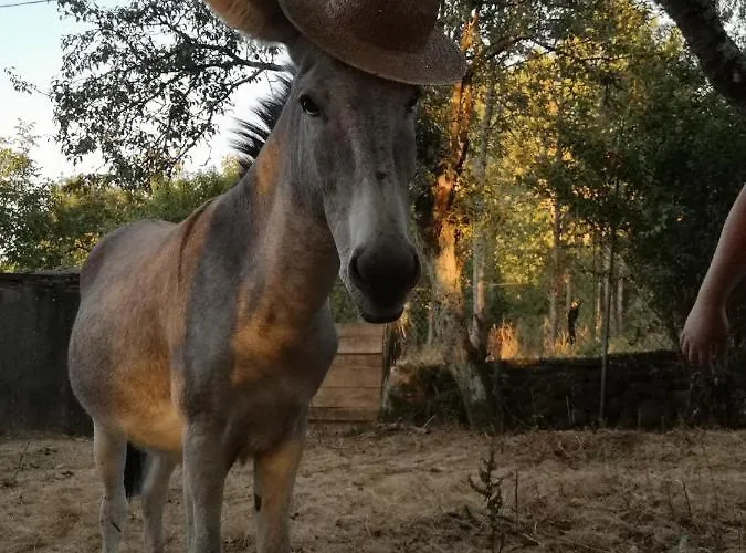 Prázdninový dům A Maquia Do Pousavedra *